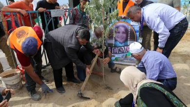 صورة منتدى شباب الجزائر: غرس بوهران أكثر من 14500 شجرة تخليدا لأرواح شهداء غزة
