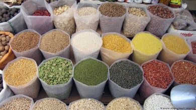 صورة الديوان الجزائري المهني للحبوب : فتح 310 نقطة بيع للحبوب عبر الولايات خلال رمضان