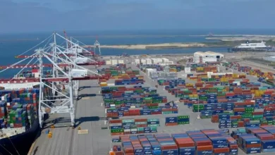 صورة  مؤسسة جزائرية جاهزة لاقتحام الأسواق الإفريقية بدعم من برنامج «دزاير لدعم المصدرين»