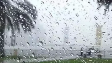 صورة أمطار رعدية مرتقبة على عدة ولايات هذا الأحد