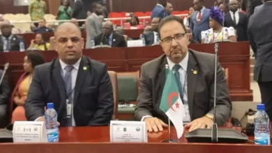صورة الجزائر تدعو إلى تعاون دولي وإقليمي لمكافحة التصحر