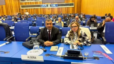 صورة الجزائر تشارك في أشغال الدورة الـ17 لاستعراض تنفيذ اتفاقية الأمم المتحدة لمكافحة الفساد بفيينا