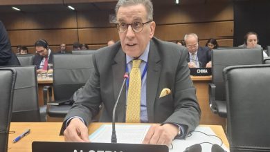صورة الوكالة الدولية للطاقة الذرية:  الجزائر تؤكد على الحق في الاستفادة من الاستخدامات السلمية للطاقة النووية