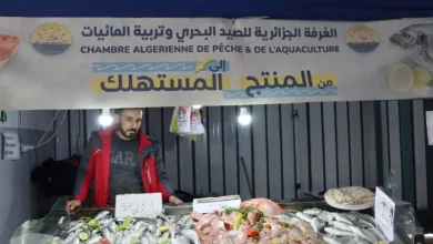 صورة رمضان : أكثر من 200 نقطة بيع لمنتجات الصيد البحري وتربية المائيات “من المنتج إلى المستهلك”