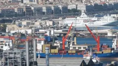 صورة صادرات الجزائر خارج المحروقات تتجاوز 4.3 مليار دولار خلال الأشهر التسعة الأولى من 2025