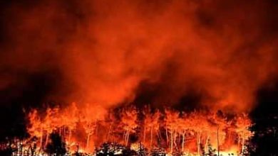 صورة إخماد حرائق الغابات في جزيرة سومطرة الإندونيسية تتواصل