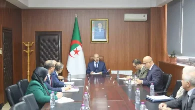 صورة وزير العمل يدعو إلى اعتماد الرقمنة لجعل المعهد الوطني للعمل فضاءً مرجعيًا للتكوين المتخصص