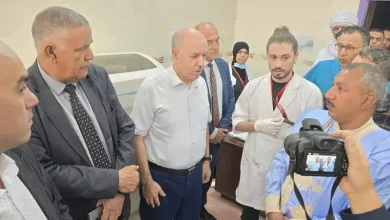 صورة سايحي يشدد على ضرورة تلقيح كل قاطني المناطق التي شهدت حالات دفتيريا وملاريا بالجنوب