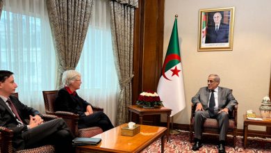 صورة الوزير الأول يستقبل سفيرة ألمانيا في الجزائر