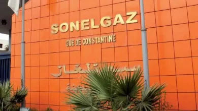 صورة سونلغاز تفعّل مخططات استعجالية لضمان استمرارية التموين بالكهرباء خلال الاضطرابات الجوية