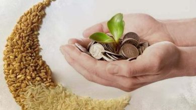 صورة أخطاء في صدقة الفطر.. تجنبها أخي المؤمن