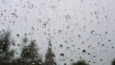 صورة نشرية خاصة : أمطار رعدية مرتقبة على عدد من ولايات الوطن ابتداء من يوم الثلاثاء