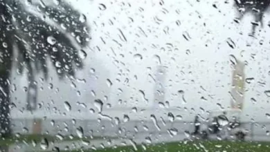 صورة أمطار رعدية غزيرة على العديد من ولايات الوطن