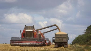 صورة أوكرانيا: كييف تتوقع تصدير أولى شحنات الحبوب هذا الأسبوع