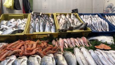 صورة انطلاق عملية بيع الأسماك مباشرة من المنتج إلى المستهلك