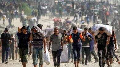 صورة الإفراج عن 13 أسيرا غزيا..إسرائيل تقتل 35 فلسطينيا في قطاع غزة