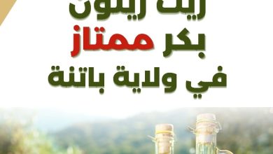 صورة باتنة.. إطلاق مسابقة أفضل زيت زيتون بكر ممتاز