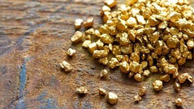 صورة الإستغلال الحرفي للذهب بالجنوب: إنتاج أكثر من 128 كلغ من المعدن الأصفر بتمنراست