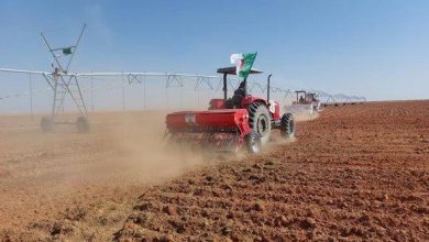 صورة إيليزي..ربط أزيد من 100 مستثمرة فلاحية بالكهرباء منذ مارس 2022