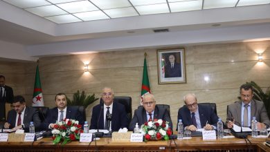 صورة على مستوى الولايات الجنوبية.. اجتماع تنسيقي بين القطاعات لدراسة الملف المتعلق بالتنمية الفلاحية