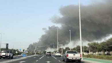 صورة الإمارات : تعليق العمل بمصنع بتروكيماويات جراء حرائق