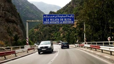 صورة البليدة : برنامج توعوي لفائدة مستعملي الطريق