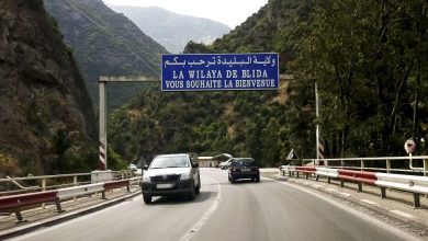 صورة البليدة..قطب استثماري جديد ببوينان