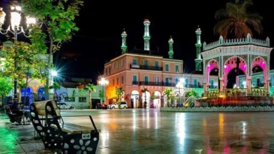 صورة البليدة..مخطط عمل جديد لتنظيف المحيط سنة 2026