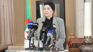 صورة صورية مولوجي: تحولات الاقتصاد الوطني تدعو إلى إعادة النظر في مسارات التكوين الفني