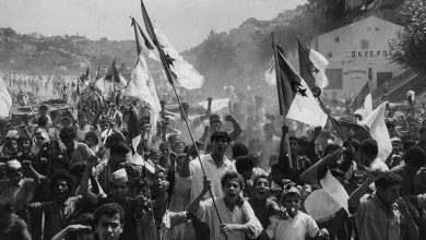 صورة مشاركون في ندوة تاريخية.. الثورة الجزائرية الوحيدة التي نقلت المعركة إلى عقر دار العدو