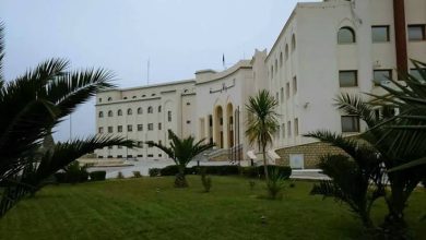 صورة الجلفة.. 300 مليون دج لإنجاز منشأة فنية بواد جدي