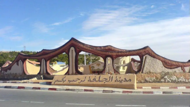 صورة الجلفة..مشاركة 25 متعاملا في معرض للترويج السياحي المحلي