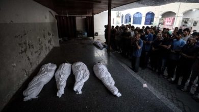 صورة بينهم 13 من منتظري المساعدات..الجيش الإسرائيلي يقتل 27 فلسطينيا في غزة