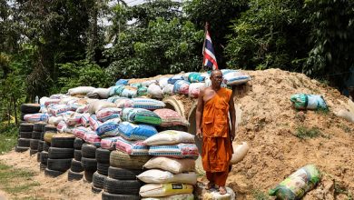 صورة الجيش التايلاندي يبني خنادق دفاعية على طول الحدود مع كمبوديا
