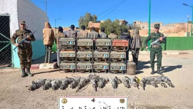 صورة الجيش الوطني الشعبي: توقيف 9 عناصر دعم للجماعات الإرهابية خلال أسبوع