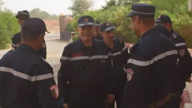 صورة الحماية المدنية تطلق حملة وقائية من حرائق المحاصيل الزراعية في ولايات الجنوب
