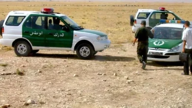 صورة النعامة..حجز 104 كيلوغرامات من الكيف المعالج