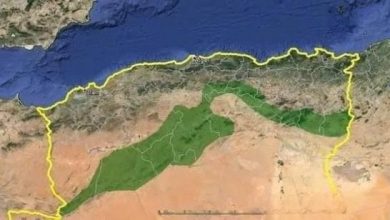صورة راشدي: برنامج مستدام لإعادة تأهيل السد الأخضر وتعزيز التنمية الاقتصادية