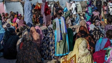 صورة السودان : “الدعم السريع” حرقت مئات الجثث في الفاشر