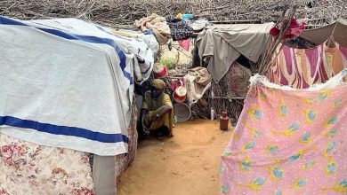 صورة السودان : نحو مليون شخص في دارفور معرضون لخطر كبير