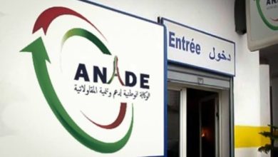 صورة الشلف : أبواب مفتوحة حول العروض الجديدة للوكالة الوطنية لدعم وتنمية المقاولاتية