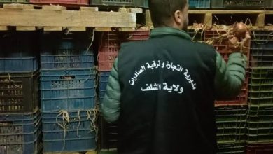 صورة الشلف.. الشروع في عملية واسعة لإحصاء المنتوج الوطني