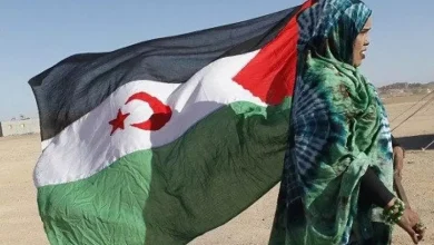 صورة اليوم الدولي لمناهضة العنف ضد المرأة: تنديد بانتهاكات المغرب ضد المرأة الصحراوية ودعوة لتطبيق الشرعية الدولية