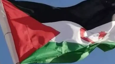 صورة الندوة البرلمانية للتضامن مع الشعب الصحراوي تندد بتدهور حقوق الانسان في الأراضي الصحراوية المحتلة