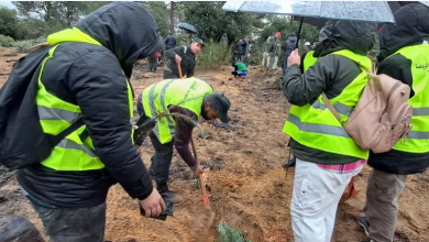 صورة الطارف : إعداد برنامج متنوع لإحياء اليوم العالمي للجبال