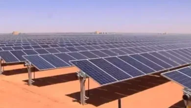 صورة بشار تستفيد قريبا من حظيرة كهروضوئية بطاقة 220 ميغاوات
