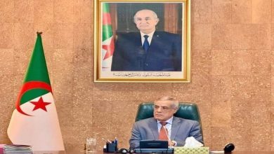 صورة اجتماع الحكومة: الاستماع إلى عروض تخص عدة قطاعات