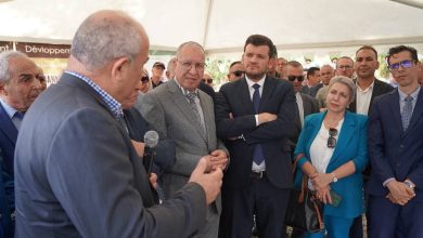 صورة وزير الفلاحة: قسنطينة تحقق محصولا استثنائيا من الحبوب هو الأكبر منذ الاستقلال