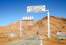 صورة النعامة..منطقة النشاطات لـمكمن بن عمار تدخل الخدمة