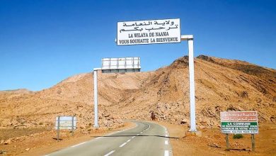 صورة النعامة..منطقة النشاطات لـمكمن بن عمار تدخل الخدمة